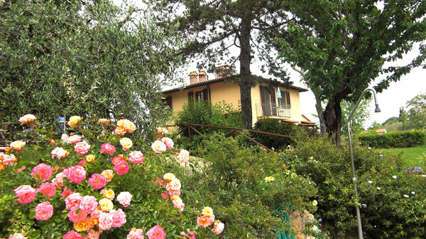 Ferienwohnung Girasole im Weingut Marcello