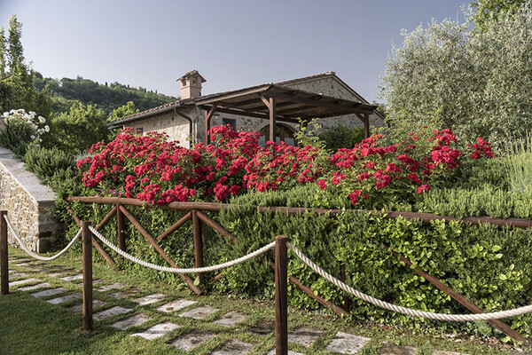 Toskana-Resort Ferienwohnung mit Pool und Therme bei San Gimignano 6 Personen