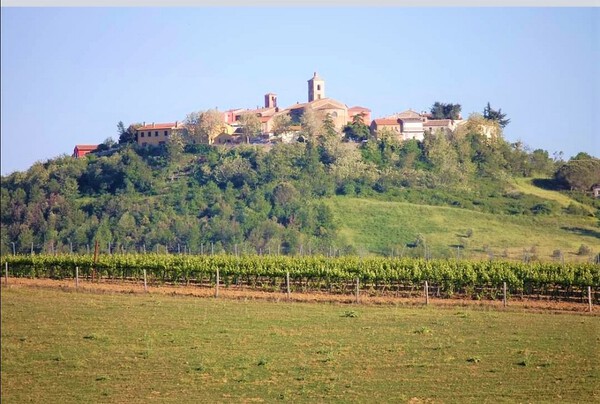 Montiano Toskana Maremma