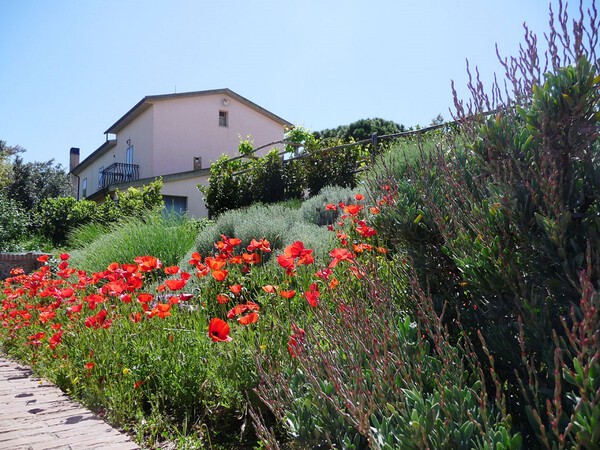 Ferienwohnung Archi mit Pool in der Toskana