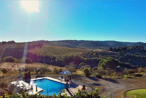Ferienwohnung Maestrale im Toskana Weingut mit Pool