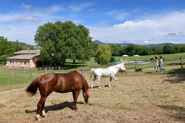 freistehendes Ferienhaus in Alleinlage mit Pool, Podere San Ilario in der Toskana