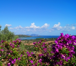 Ferienwohnung Sardinien