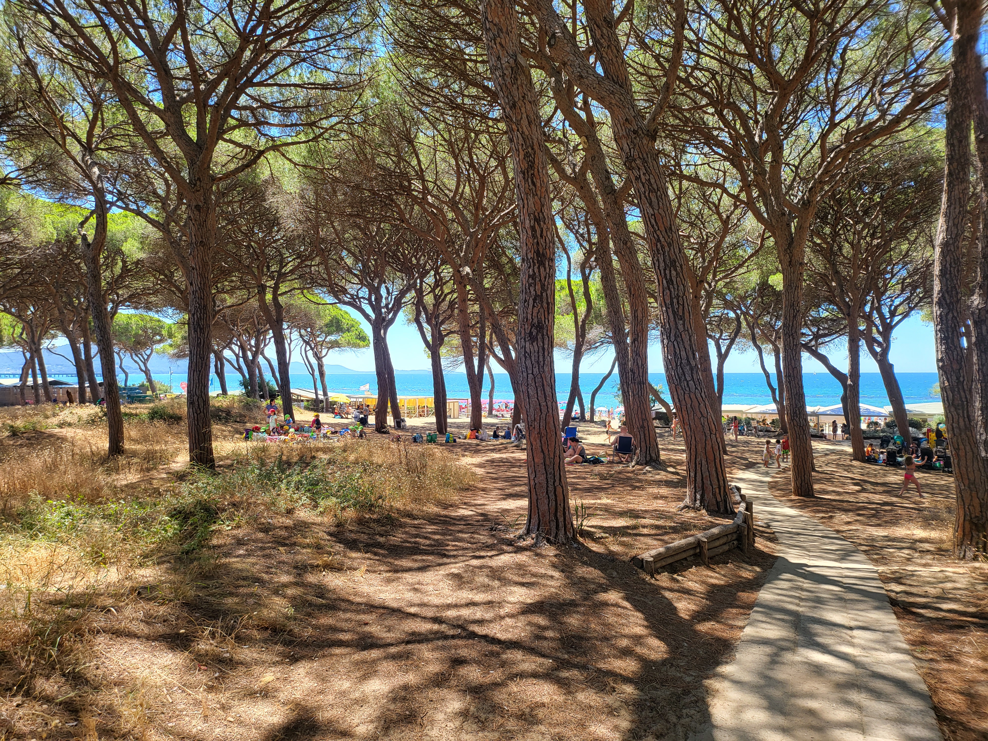 Wie so oft in der Toskana, geht es vom Parkplatz erst durch einen kleinen Pinienwald, um dann vom schönen Sandstrand empfangen zu werden.