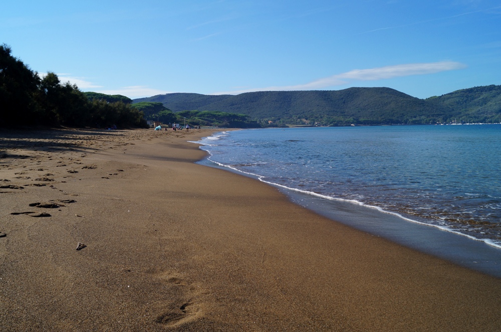 Baratti, feiner Sand und üppiges Grün in der Umgebung