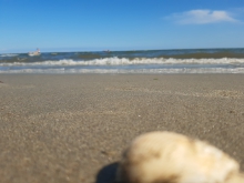 Lido di Volano, feiner Sandstrand in Emilia-Romagna