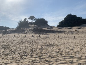 Campana Dune, feiner Sandstrand auf Sardinien<p></p>