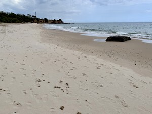 Spiaggia di Calaverde, feiner Sandstrand auf Sardinien<p></p>