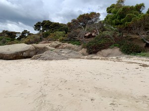 Spiaggia di Calaverde, feiner Sandstrand auf Sardinien<p></p>