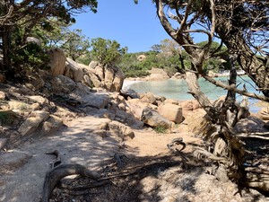 Spiaggia di Capriccioli, feiner Sandstrand auf Sardinien<p></p>