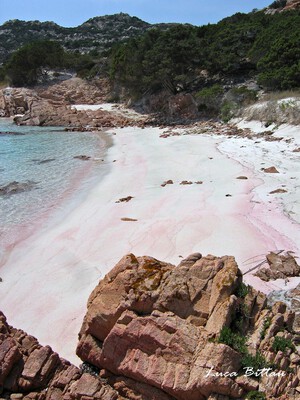 Spiaggia Rosa, feiner Sandstrand auf Sardinien<p>Foto: Luca Bittau / CC-BY-SA-4.0</p>