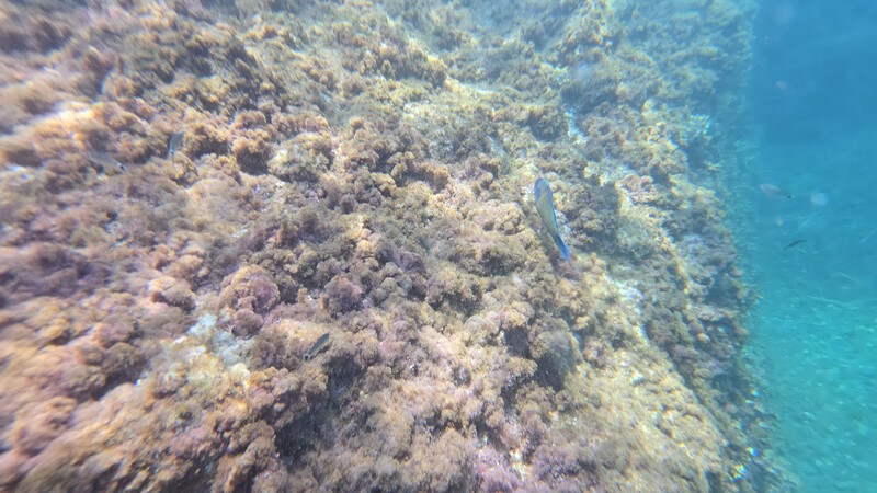 Kiesstrand Spiaggia Della Caletta Dei Pescatori, Ligurien