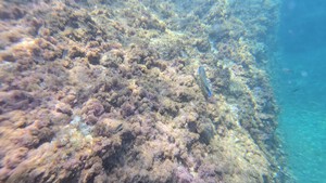 Kiesstrand Spiaggia Della Caletta Dei Pescatori, Ligurien
