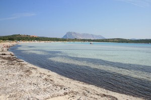 Cala Brandinchi, Sandstrand auf Sardinien