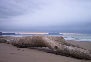 Sandstrand Spiaggia di Rimigliano, Toskana