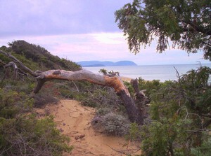Spiaggia di Rimigliano, Sandstrand in der Toskana