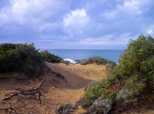 Spiaggia di Rimigliano, Sandstrand in der Toskana