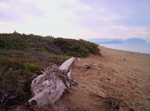 Spiaggia di Rimigliano, Sandstrand in der Toskana
