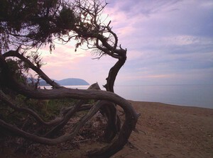 Spiaggia di Rimigliano, Sandstrand in der Toskana