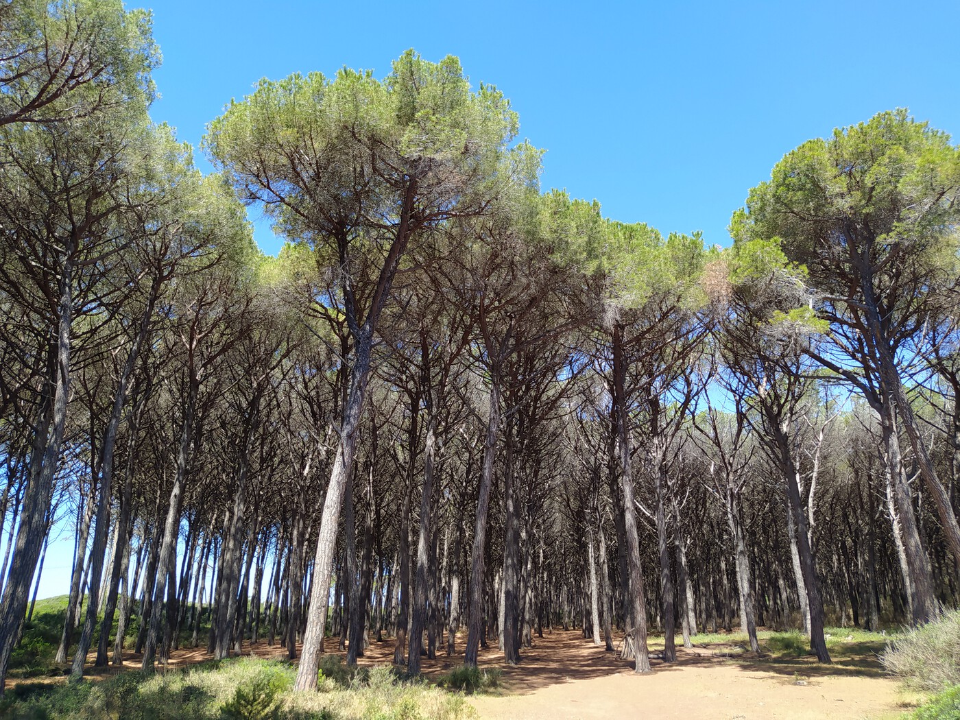 Spiaggia Le Gorette, Sandstrand in der Toskana