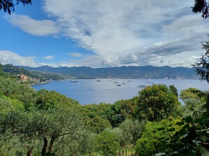 Spiaggia dell'Olivetta, Steinstrand in Ligurien