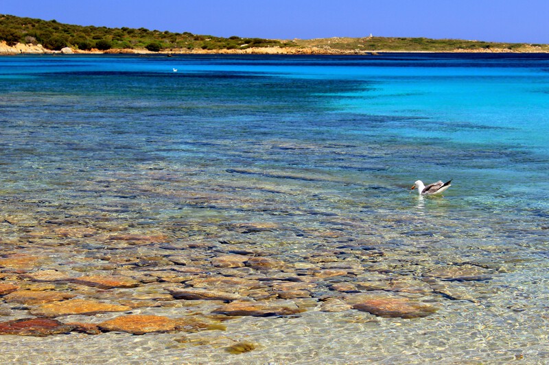 Sandstrand Cala Andreani, Sardinien