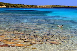 Sandstrand Cala Andreani, Sardinien