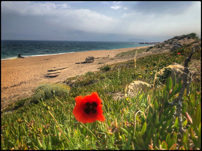 Sandstrand Spiaggia di Vignola, Sardinien
