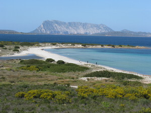 Sandstrand Spaggia Isuledda, Sardinien