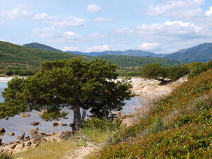 Spaggia Isuledda, Sandstrand auf Sardinien