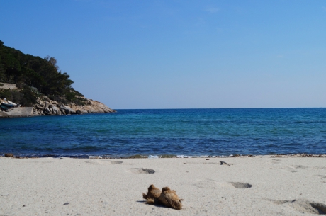 feiner Sandstrand Fetovaia, Toskana