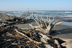 Sandstrand Ancona di Bellocchio, Emilia-Romagna