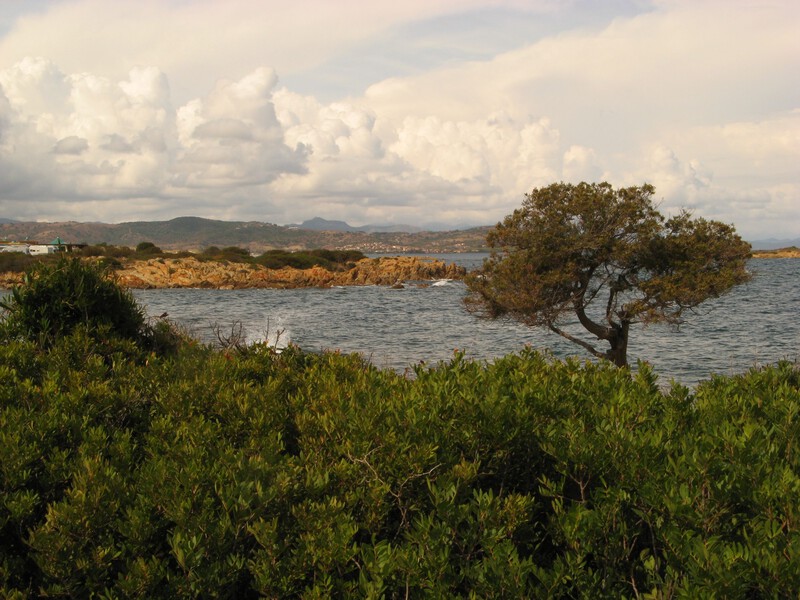 Sandstrand Cala Artora, Sardinien