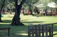 Baia Delle Sirene, Steinstrand am Gardasee<p></p>
