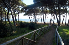Follonica, feiner Sandstrand in der Toskana<p></p>