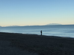 Marina di Bibbona, Sandstrand in der Toskana<p></p>
