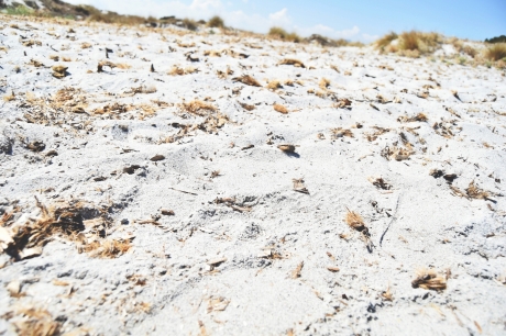 feiner Sandstrand Capo Comino, Sardinien