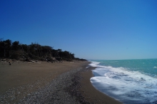 Naturstrand Cecina Süd, Sandstrand in der Toskana<p></p>