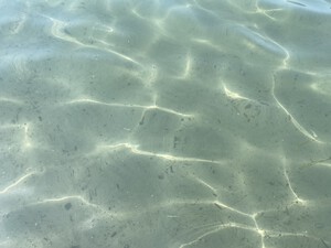 Naturstrand Cecina Süd, Sandstrand in der Toskana<p></p>