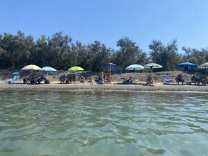 Naturstrand Cecina Süd, Sandstrand in der Toskana<p></p>